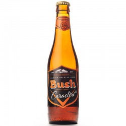 Bere Brasserie Dubuisson Bush Caractere 0.33l
