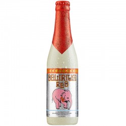 Bere Brasserie Huyghe Delirium Red 0.33l