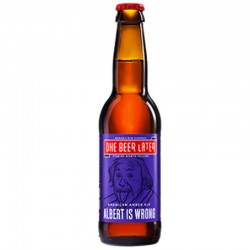 Bere One Beer Later Albert is Wrong 0.33l