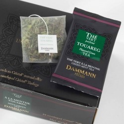 Dammann Touareg Plic