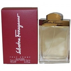 Salvatore Ferragamo Pour Homme 100ml