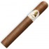 Davidoff Winston Churchill Petit Corona Cello