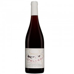 Domaine Breton Grolleau 0.75l