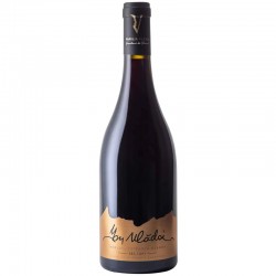 Domeniul Vladoi Ion Vladoi Merlot & Feteasca Neagra 0.75l