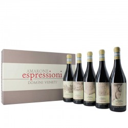 Domini Veneti Amarone Della Valpolicella Espressioni Wooden Gift Box 5x0.75l