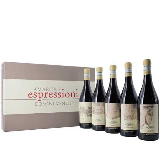 Domini Veneti Amarone Della Valpolicella Espressioni Wooden Gift Box 5x0.75l