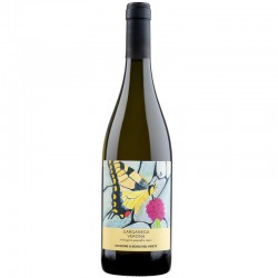 Domini Veneti La Scuola Nel Vigneto Garganega Verona 0.75l