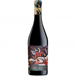 Domini Veneti Valpolicella Appassimento 0.75l