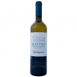 Mastroberardino Mastro Bianco Campania 0.75l