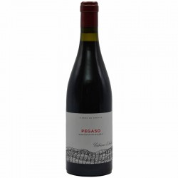 Telmo Rodriguez Pegaso Barrancos De Pizarra 0.75l