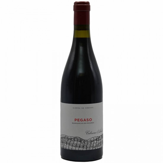 Telmo Rodriguez Pegaso Barrancos De Pizarra 0.75l