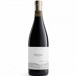 Telmo Rodriguez Pegaso Granito 0.75l