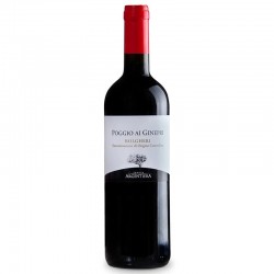Tenuta Argentiera Bolgheri Poggio Ai Ginepri Rosso 0.75l