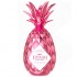 Pinaq Rose Liqueur 1L