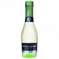 Scavi & Ray Hugo 0.2l