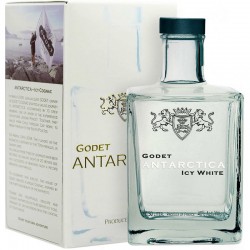 Godet Antarctica 0.5l