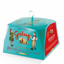 Galup Panettoncino Classico 100gr
