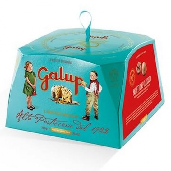 Galup Panettone Cu Cirese Amare Si Ciocolata 750gr