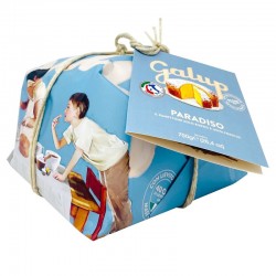 Galup Panettone Paradiso 750gr