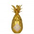Pinaq Gold Liqueur 0.05L