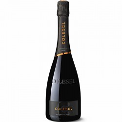 Colesel Prosecco Noai Brut 0.75l