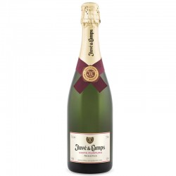 Juve & Camps Cava Cinta Purpura Reserva Brut 0.75l