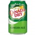 Canada Dry Ginger Ale 0.33l