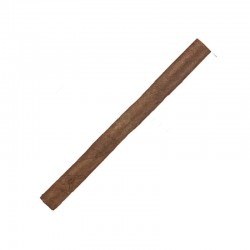 Notebaert Cubanos Cubanello 10 Pack