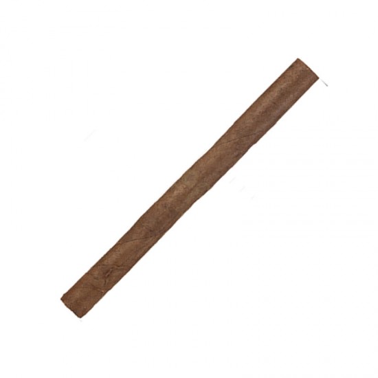 Notebaert Cubanos Senoritas Natural 10 Pack