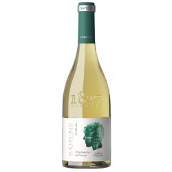 Purcari Sapiens Chardonnay 0.75L