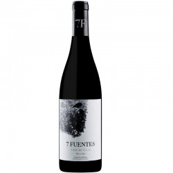 Suertes Del Marques 7 Fuentes 0.75l